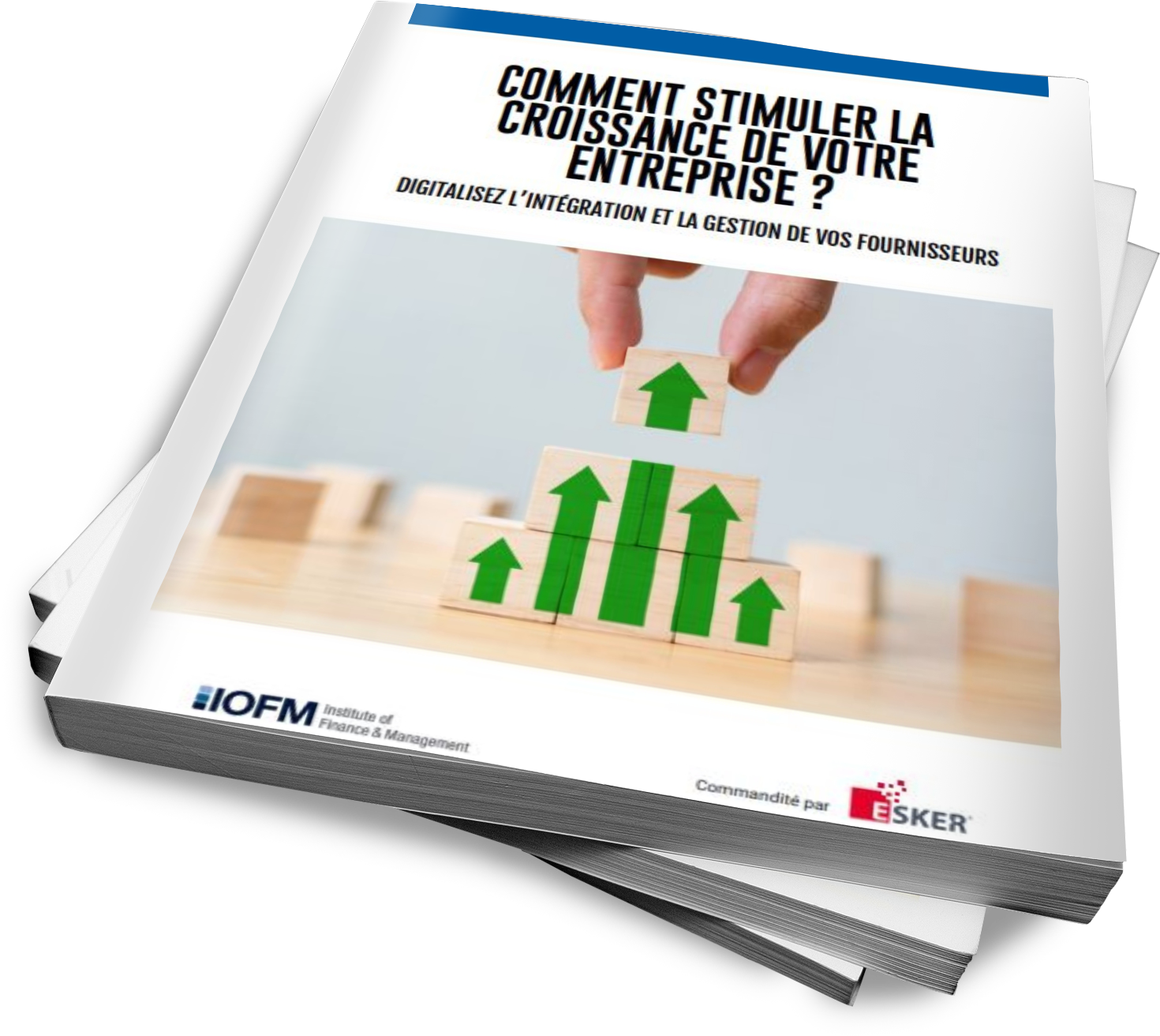 3d cover rapport IOFM gestion des fournisseurs 2021.png